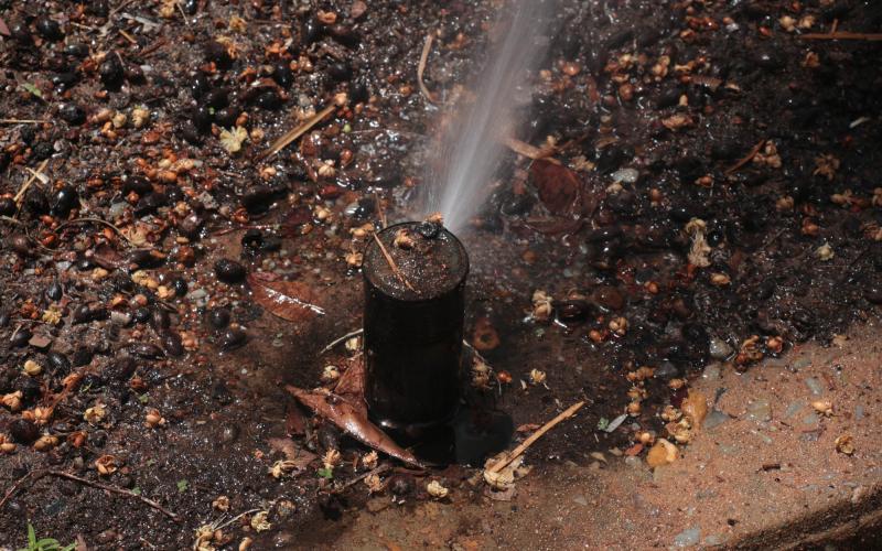 Adjust your irrigation for the seasons