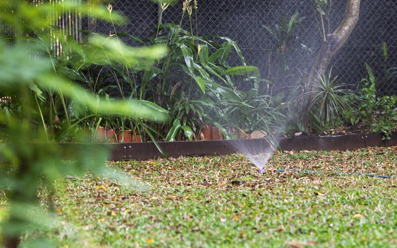 A sprinkler watering grass 